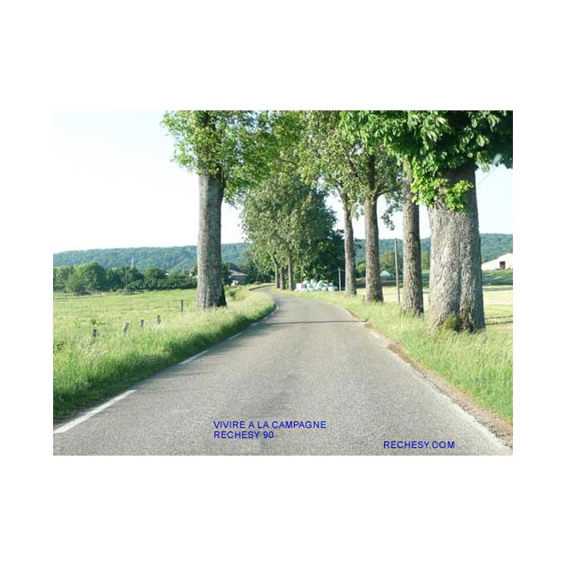 Route de campagne entrée du village de Réchésy